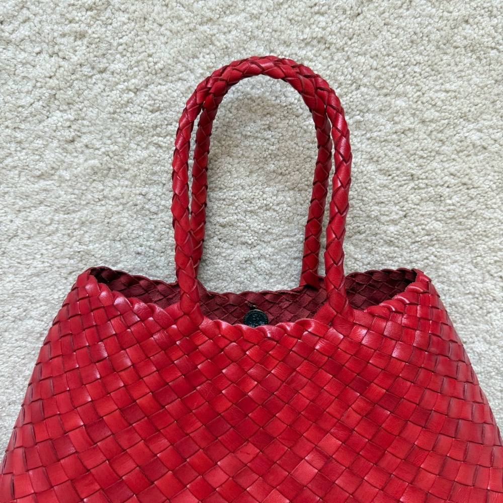 Dragon Diffusion Bag - image 3